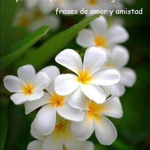 Meet your Posher, Madai